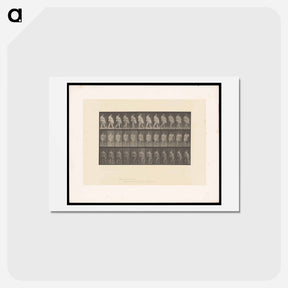 アートポストカード-Obese Woman Walking
 - エドワード マイブリッジ Postcard.