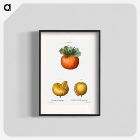 アートポスター-Bigarade orange - ピエール ジョゼフ ルドゥーテ Poster.