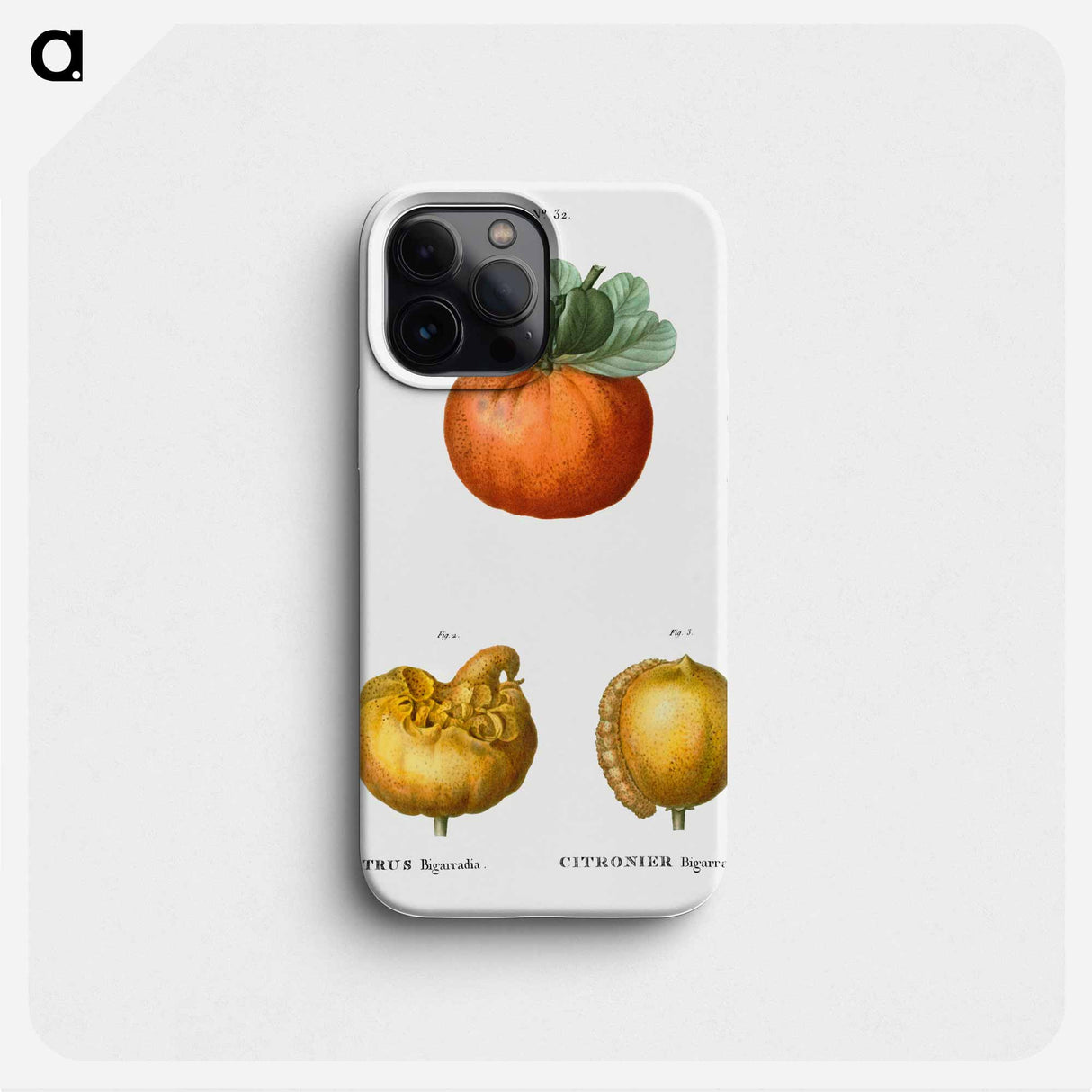Bigarade orange - ピエール ジョゼフ ルドゥーテ Phone Case.