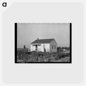 アートポストカード-Southeast Missouri Farms
 - ラッセル リー Postcard.