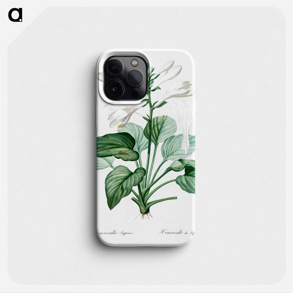 Daylily illustration - Pierre Joseph Redouté Phone Case.