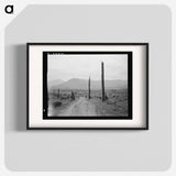 Landscape: stumps, sags, and stump farm in Priest River Valley. - Dorothea Lange Poster.