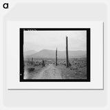 Landscape: stumps, sags, and stump farm in Priest River Valley. - Dorothea Lange Poster.