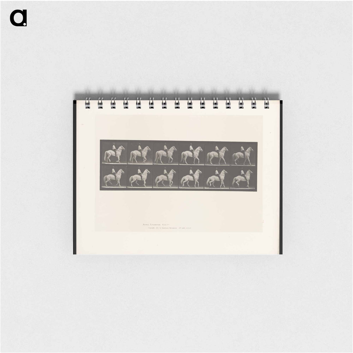 アートメモ帳-Man on Horse
 - エドワード マイブリッジ Memo.
