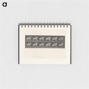 アートメモ帳-Man on Horse
 - エドワード マイブリッジ Memo.