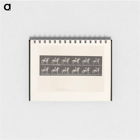 アートメモ帳-Man on Horse
 - エドワード マイブリッジ Memo.