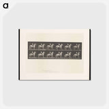 アートポストカード-Man on Horse
 - エドワード マイブリッジ Postcard.