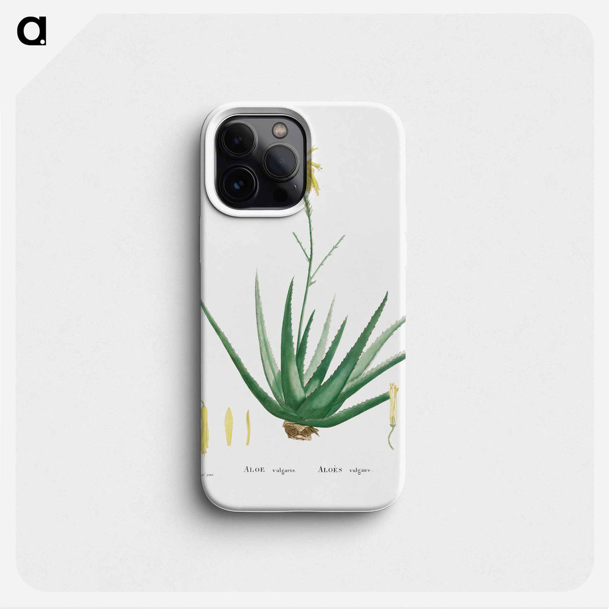 Aloe Vulgaris (Aloe Vera) - ピエール ジョゼフ ルドゥーテ Phone Case.