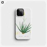 Aloe Vulgaris (Aloe Vera) - ピエール ジョゼフ ルドゥーテ Phone Case.