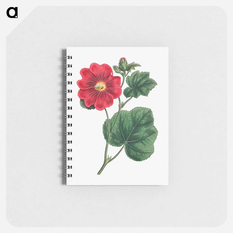 アートメモ帳-Seringapatam A Hollyhock
 - クリーブランド美術館 Memo.