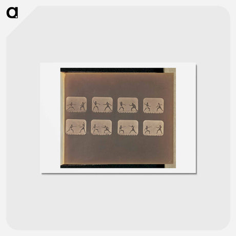 アートポストカード-Fencing
 - エドワード マイブリッジ Postcard.