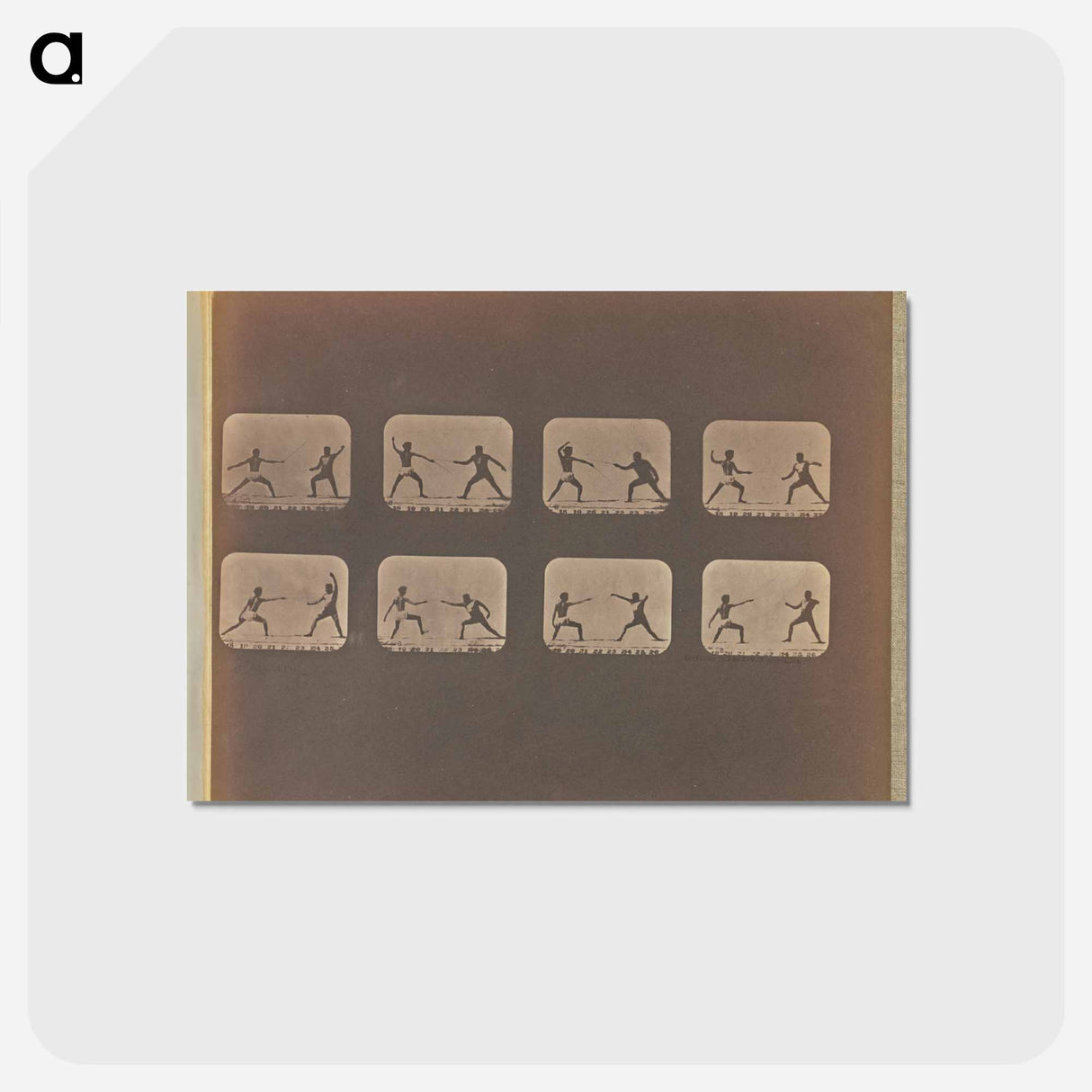 アートポストカード-Fencing
 - エドワード マイブリッジ Postcard.
