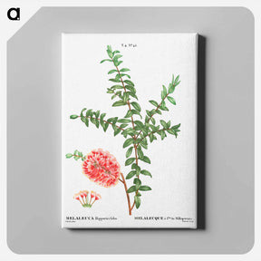 アートパネル-Hillock bush - ピエール ジョゼフ ルドゥーテ Canvas.