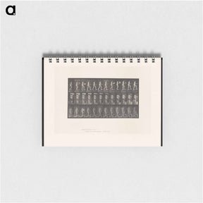 アートメモ帳-Nude Ascending
 - エドワード マイブリッジ Memo.