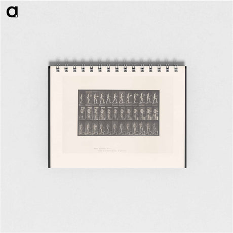 アートメモ帳-Nude Ascending
 - エドワード マイブリッジ Memo.