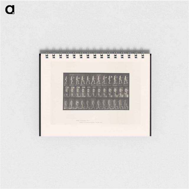 アートメモ帳-Nude Ascending
 - エドワード マイブリッジ Memo.