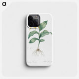Yellow Lady's Slipper Orchid - Pierre Joseph Redouté Phone Case.