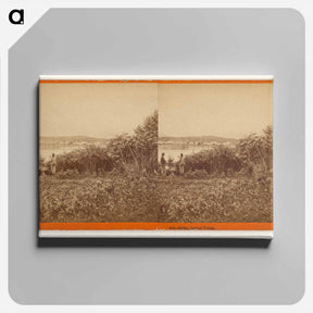 アートパネル-Sitka, Indian Village
 - エドワード マイブリッジ Canvas.