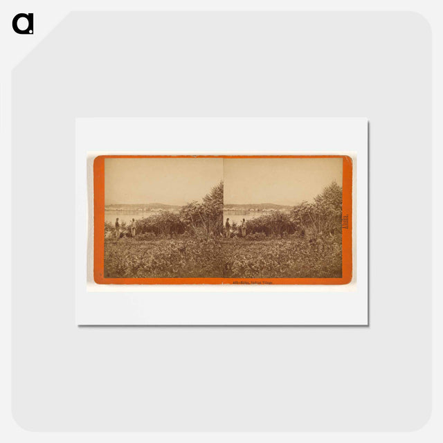 アートポストカード-Sitka, Indian Village
 - エドワード マイブリッジ Postcard.