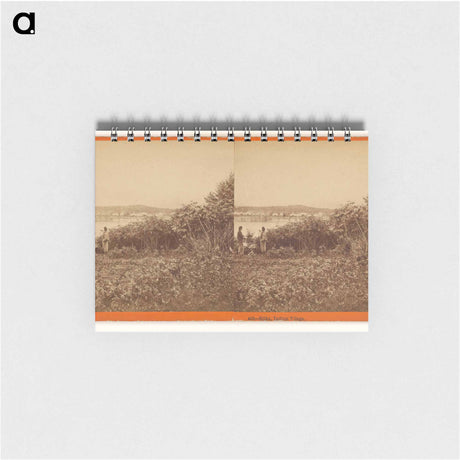 アートメモ帳-Sitka, Indian Village
 - エドワード マイブリッジ Memo.