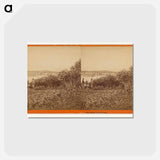 アートポストカード-Sitka, Indian Village
 - エドワード マイブリッジ Postcard.