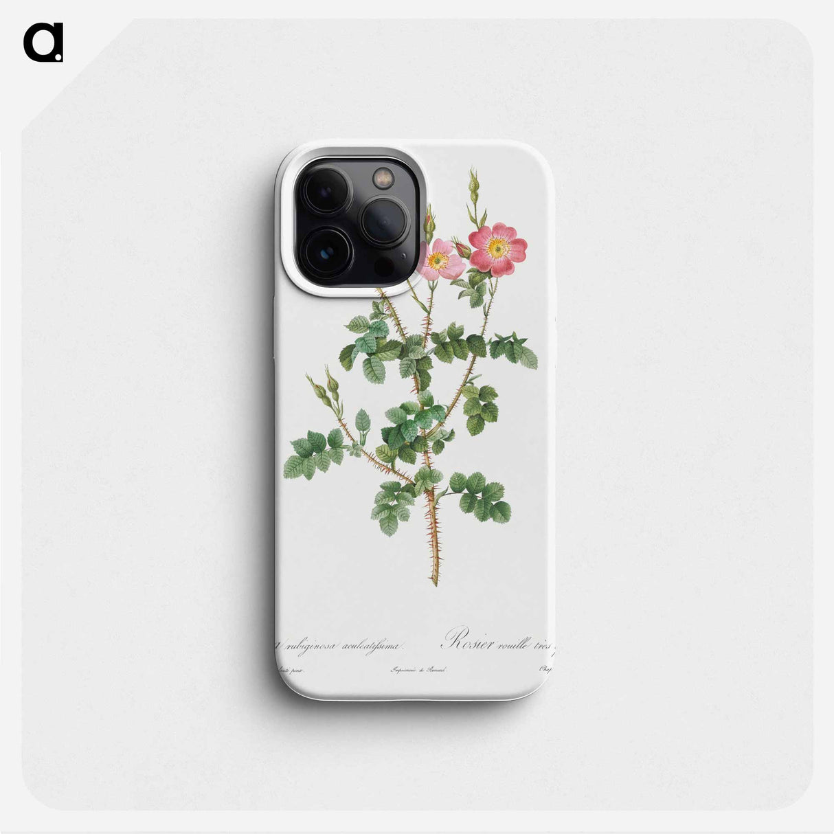 Prickly Sweet Briar Rose with Dusty Pink Flowers - ピエール ジョゼフ ルドゥーテ Phone Case.