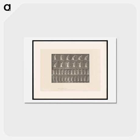 アートポストカード-Woman Raking Hay
 - エドワード マイブリッジ Postcard.