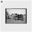 アートポストカード-Harnessing Horses, Concho
 - ラッセル リー Postcard.