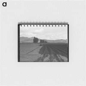 アートメモ帳-Sugar beet field showing tractor with plowshare attached and Mexican operator - ドロテア ラング Memo.