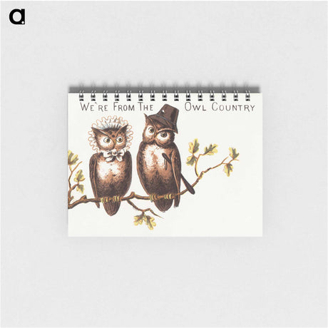 アートメモ帳-We're from the owl country
 - ボストン公共図書館 Memo.