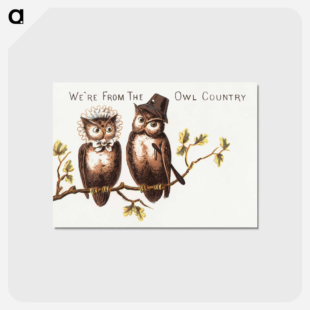 アートポストカード-We're from the owl country
 - ボストン公共図書館 Postcard.