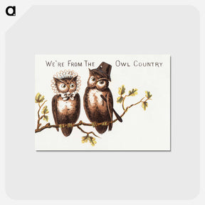 アートポストカード-We're from the owl country
 - ボストン公共図書館 Postcard.
