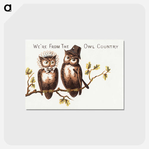 私たちはフクロウの国から来ました - ボストン公共図書館 Postcard.