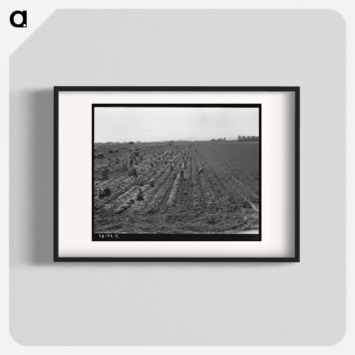 Untitled photo - Dorothea Lange Poster.