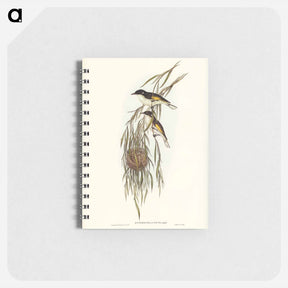 アートメモ帳-Painted Honey-eater
 - ジョン グールド Memo.