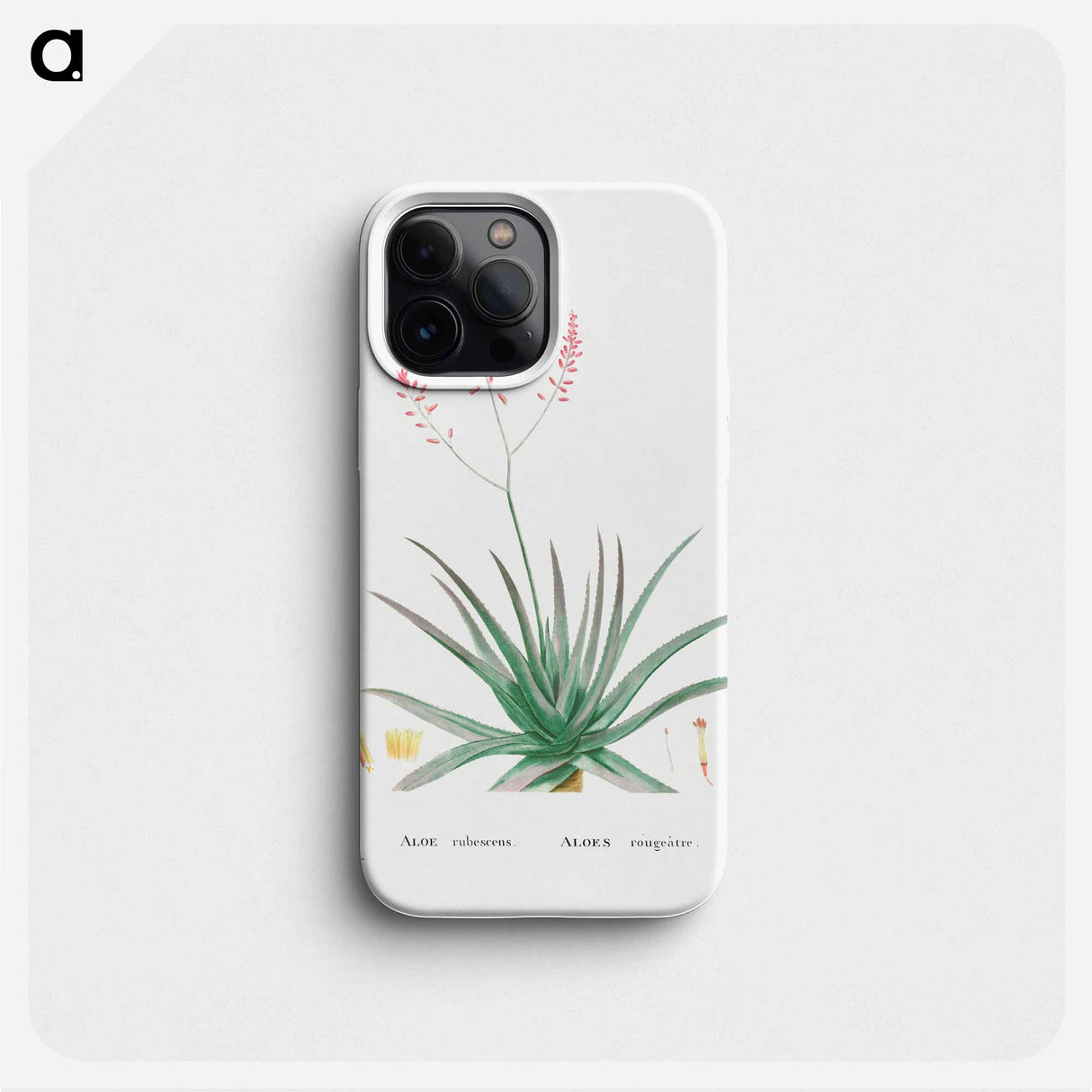 Aloe Rubescens (Aloe Vera) - ピエール ジョゼフ ルドゥーテ Phone Case.