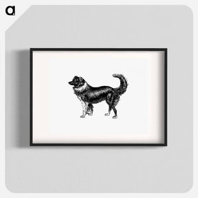 アートポスター-Dog
 - 大英図書館 Poster.