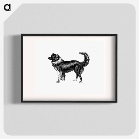 アートポスター-Dog
 - 大英図書館 Poster.