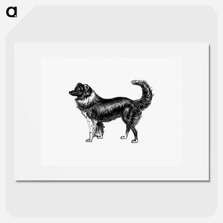 アートポスター-Dog
 - 大英図書館 Poster.