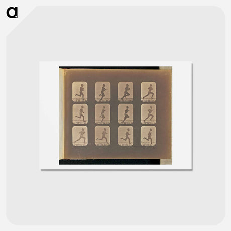 アートポストカード-Running
 - エドワード マイブリッジ Postcard.