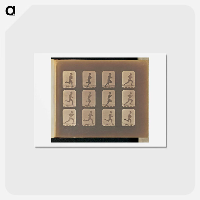 アートポストカード-Running
 - エドワード マイブリッジ Postcard.