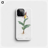 Lady's slipper orchid illustration - ピエール ジョゼフ ルドゥーテ Phone Case.
