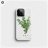 Buxus sempervirens fruticosa - Pierre Joseph Redouté Phone Case.