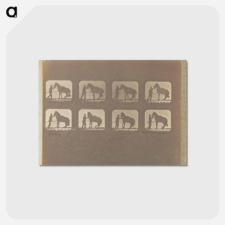 アートポストカード-Backing
 - エドワード マイブリッジ Postcard.