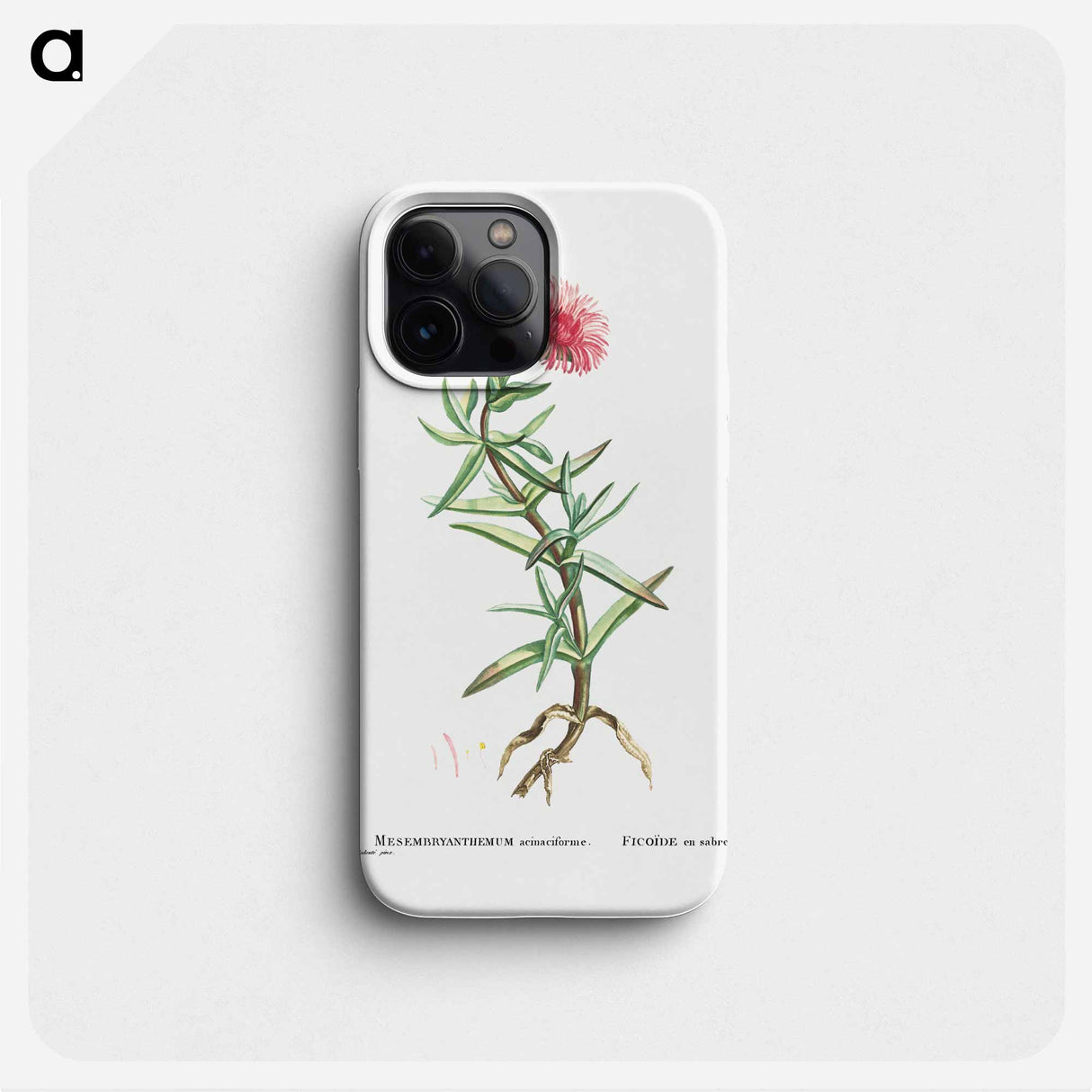 Mesembryanthemum Acinaciforme (Elands Sourfig) - Pierre Joseph Redouté Phone Case.