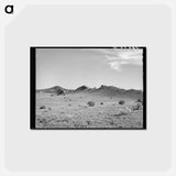 アートポストカード-Dike near Pie Town, New Mexico
 - ラッセル リー Postcard.