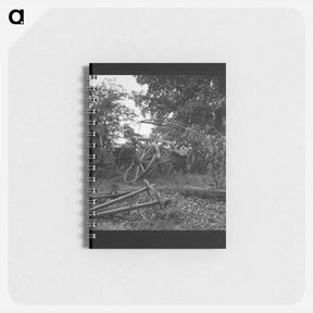 アートメモ帳-Untitled photo - ドロテア ラング Memo.