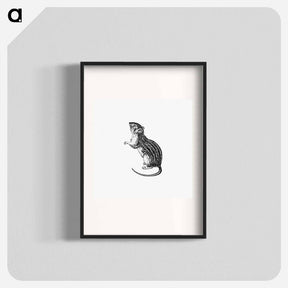 アートポスター-Rodent from Portuguese Expedition to Muatianvua Ethnographia and Traditional History of the People of Lunda
 - 大英図書館 Poster.