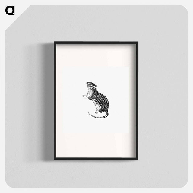 アートポスター-Rodent from Portuguese Expedition to Muatianvua Ethnographia and Traditional History of the People of Lunda
 - 大英図書館 Poster.