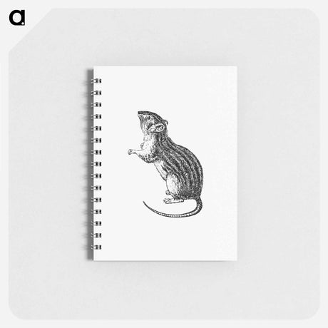 アートメモ帳-Rodent from Portuguese Expedition to Muatianvua Ethnographia and Traditional History of the People of Lunda
 - 大英図書館 Memo.
